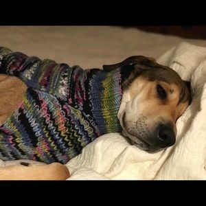 Meet your Posher, Ladon